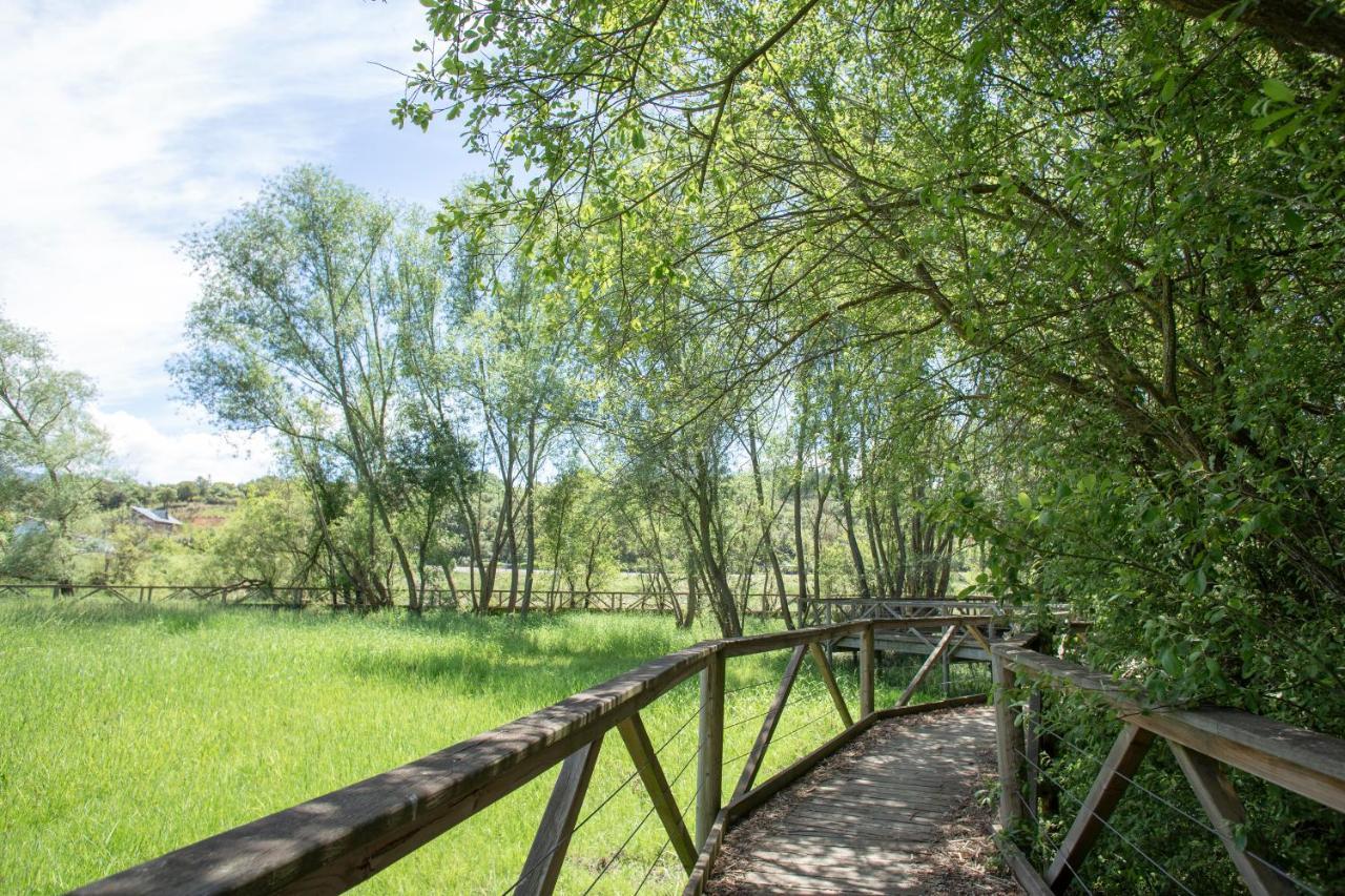 Séjour à la campagne Rural Médulas Las Médulas