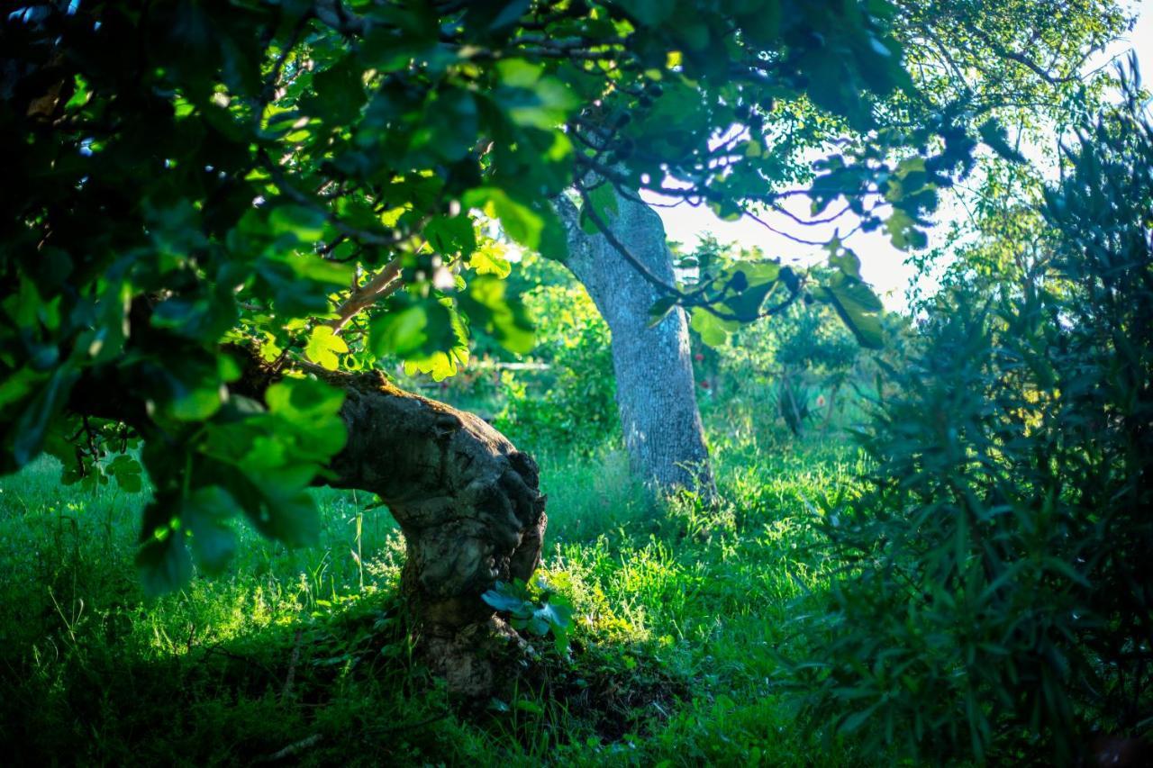 Rural Médulas Casa di campagna Las Médulas
